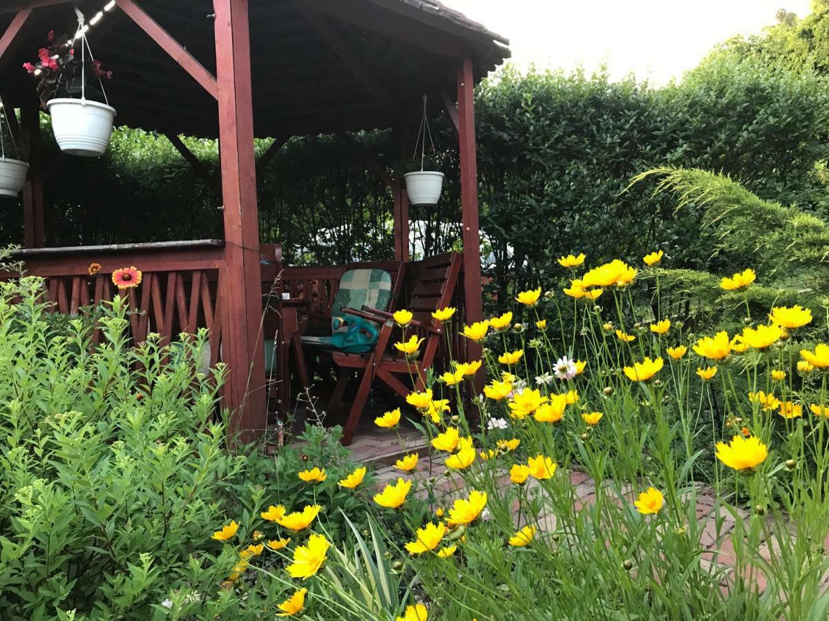 Holiday home Orchidea Vendeghaz - Zebegeny